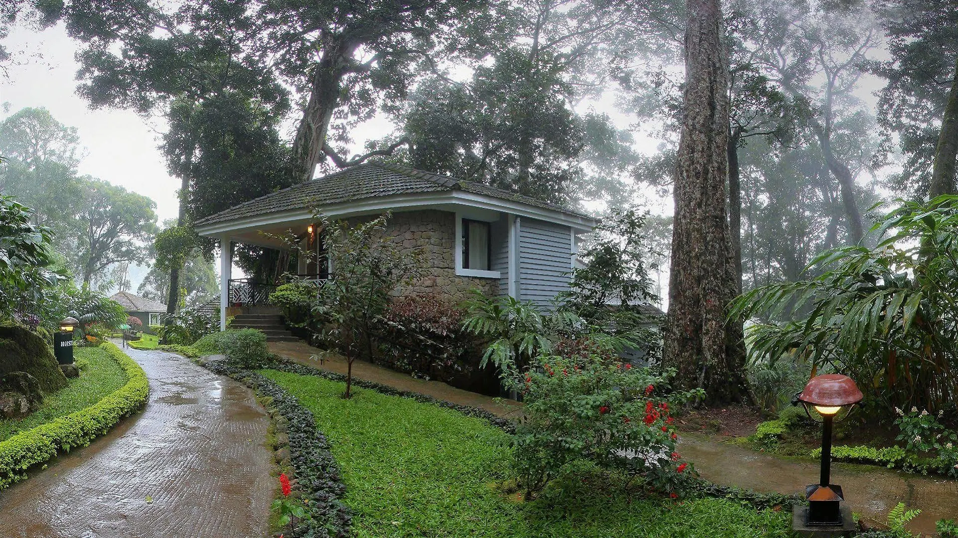 Resort The Tall Trees Munnar