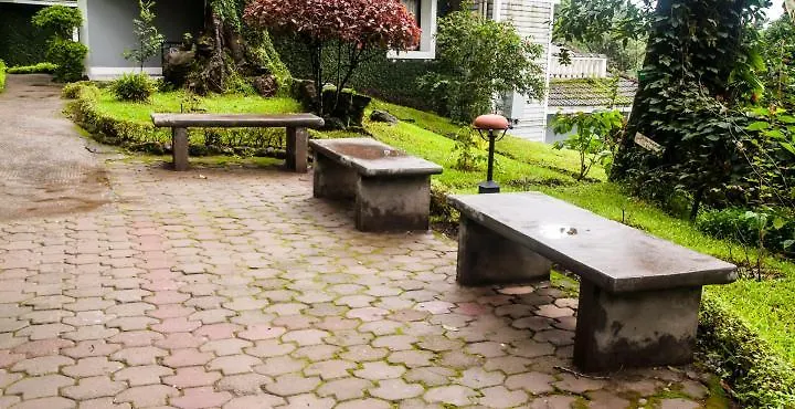 度假村 乔木酒店 蒙纳
