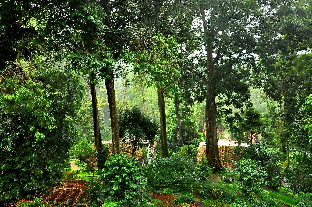The Tall Trees Munnar 4*,  Ινδία
